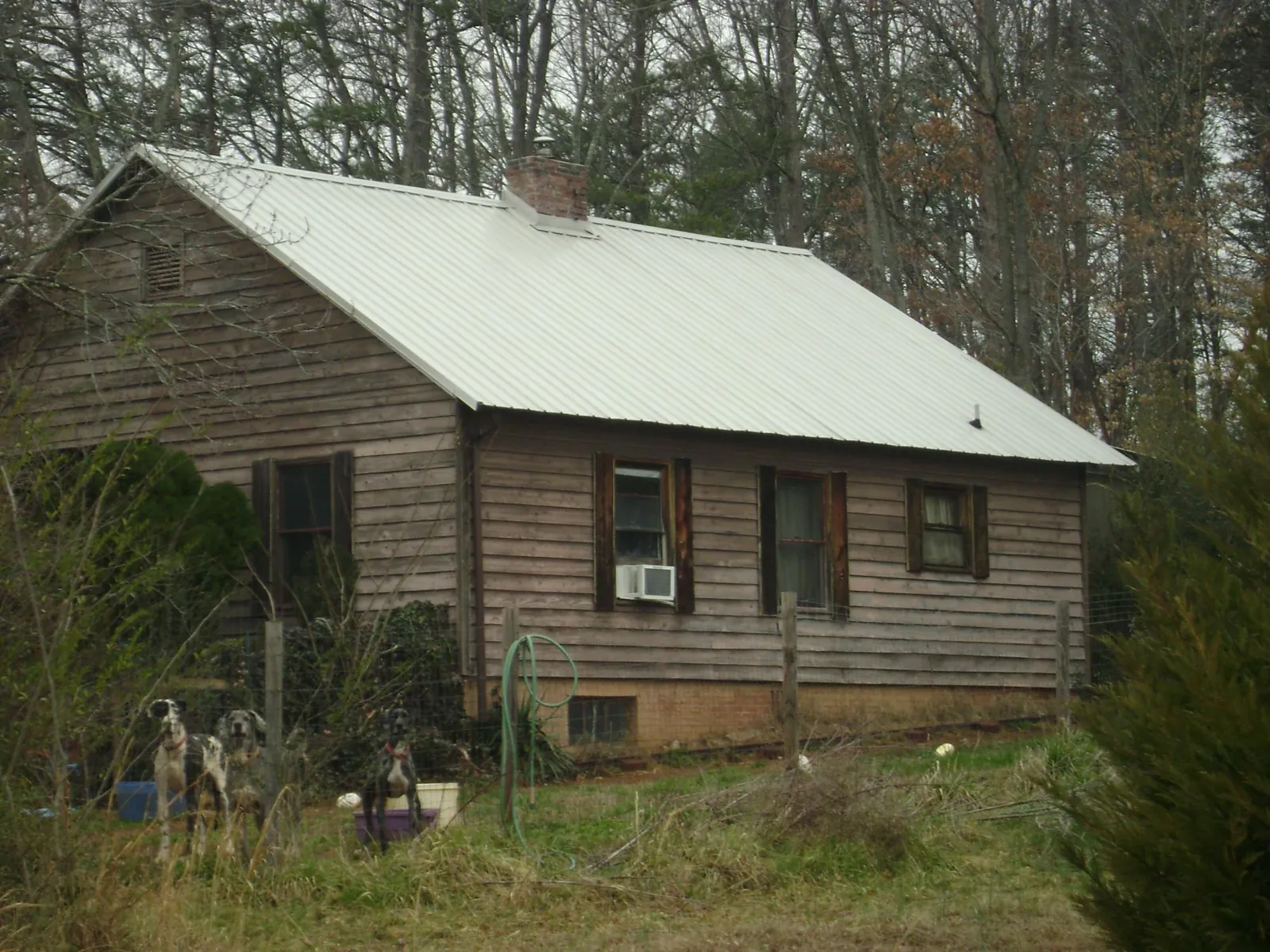 White metal roof on an old wood sided farmhouse, from a Asphalt Shingle Roof Repair job in Bolckow